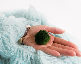 1 Large Marimo For Your Own Aquarium Creation