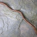 Serpentine Natural Wood Wand - Willow - for Lunar or Water Magic.