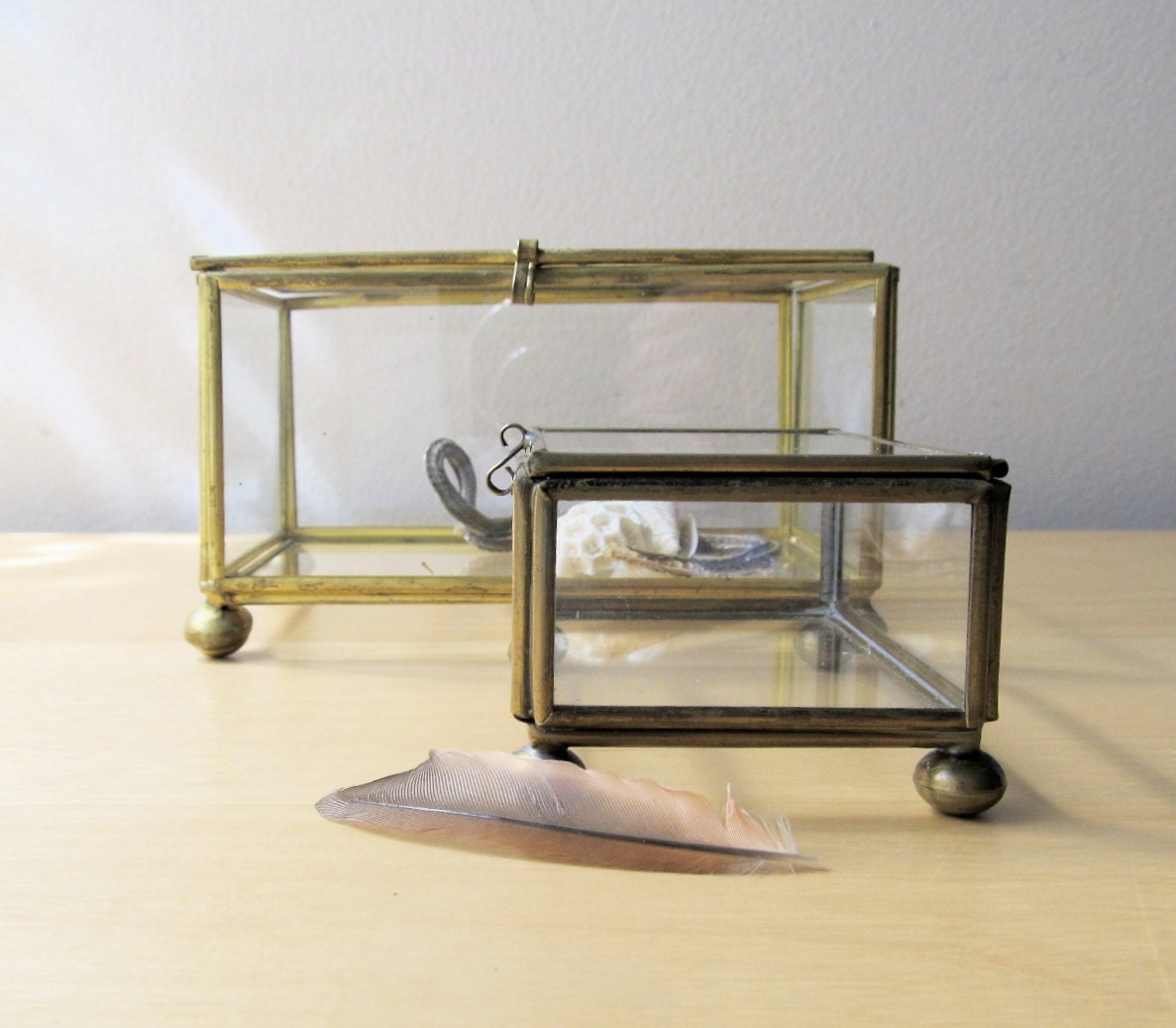 vintage specimen display cases glass and brass boxes by ionesAttic