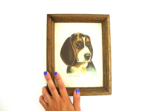 vintage beagle portrait