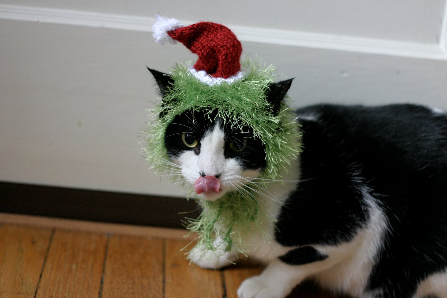 The Grinch Cat Hat Christmas Dr Seuss Pet Costume