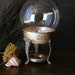 Vintage Glass Globe Nature Display With Silver Plated Stand