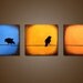 Three Birds on a Wire - 36 x 12, Original Modern Contemporary Acrylic PAINTING canvas, Heavy Textured Abstract Bird Art by Shanna