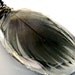 Peacock Feather Nature Pendant Dark Blue Shiny Resin Large Oval Earth Accessories Black Cord Cruelty Free Boho Necklace Bohemian Jewelry