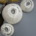 Three Ceramic Black and Cream White Barnacles Wall Art 2