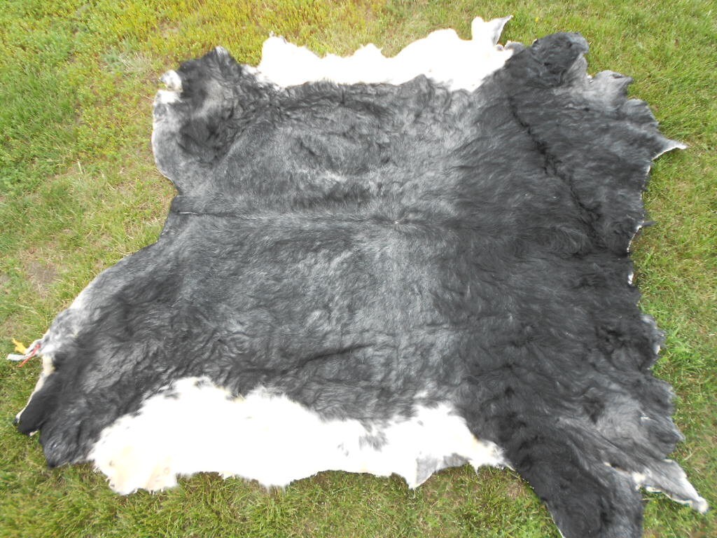 Blue Roan Longhorn Cowhide Soft tanned