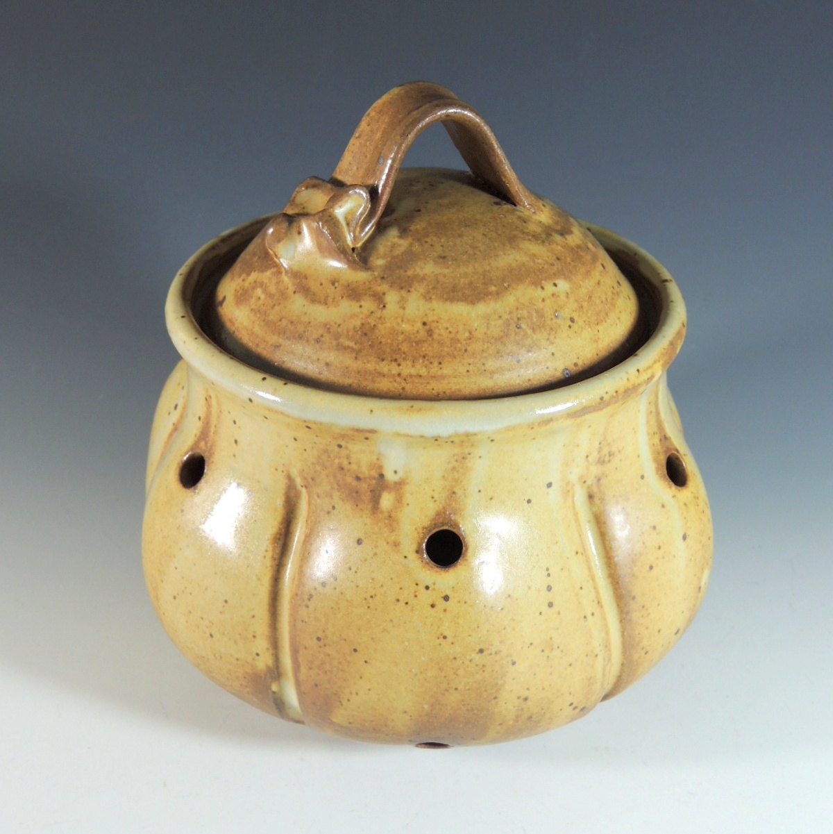 Garlic Keeper in Caramel Glaze / Kitchen Storage / Lidded Jar