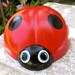 Baby Garden Ladybug