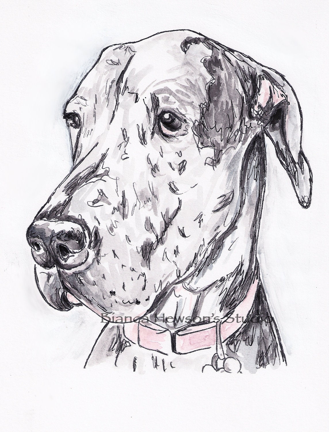 26 best ideas for coloring Great Dane Coloring Pages