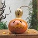 Halloween Gourd Jack O Lantern Ghost Top Natural Fall Harvest Spooky Pumpkin Decoration