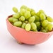large berry bowl in coral - DISCOUNTED