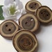 Wood Buttons - 5 Wooden Locust Tree Branch Buttons - 1 1/4 inches, 2 holes, For Journals, Pillows, Purses, Knitting and Crochet
