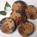 Wood Buttons - 5 Rustic Ohio Pine Wood Tree Branch Buttons - 2 holes, 2 1/4 x 2 1/8 inches - For journals, purses, pillows, and more
