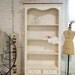Painted Cottage Romantic Shabby Cream French Bookcase BC352