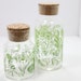 corked vases