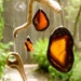 Driftwood sun catcher / mobile with agates and crystal. FREE SHIPPING in U.S. and Canada.