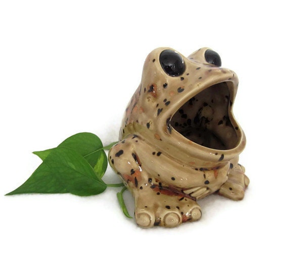 Ceramic Frog Sponge Holder Earth Tone Ready to Ship