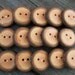 15 Hickory Wood Buttons. Just Over 1 Inch Wide
