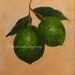 LIMES Painting 5 x 7 fruit painting original