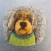 Dog wearing a green jumper