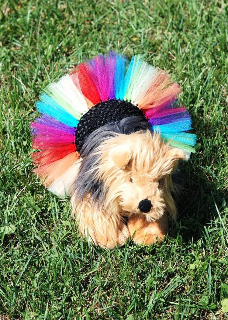Rainbow Explosion Dog Tutu With Customizable by KenziesTreasures