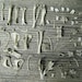 Cruelty Free - Specimen Lot - Rodent Rat Bone Collection Bones - Taxidermy Religious Educational Magic Spell Art Crafts