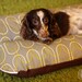 Deluxe Bunbed Dog bed for Dachshunds and other small dogs - Gray Mod Shapes