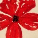 MOTHERS DAY gift Red Poppy PRINT fine art print 12 x 12 Great gift under 30 dollars