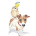 Jack Russell Watercolor, Owl Watercolor, Bird Watercolour - Animal Illustration, 8x10
