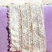 Antique Lace Vintage Lace French Italian Lace Victorian Dress Modesty