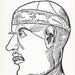 Vintage Phrenology chart Human Head brain engraving psychology medical book plate