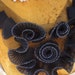 Cute embroidered applique black color 1 pieces listing