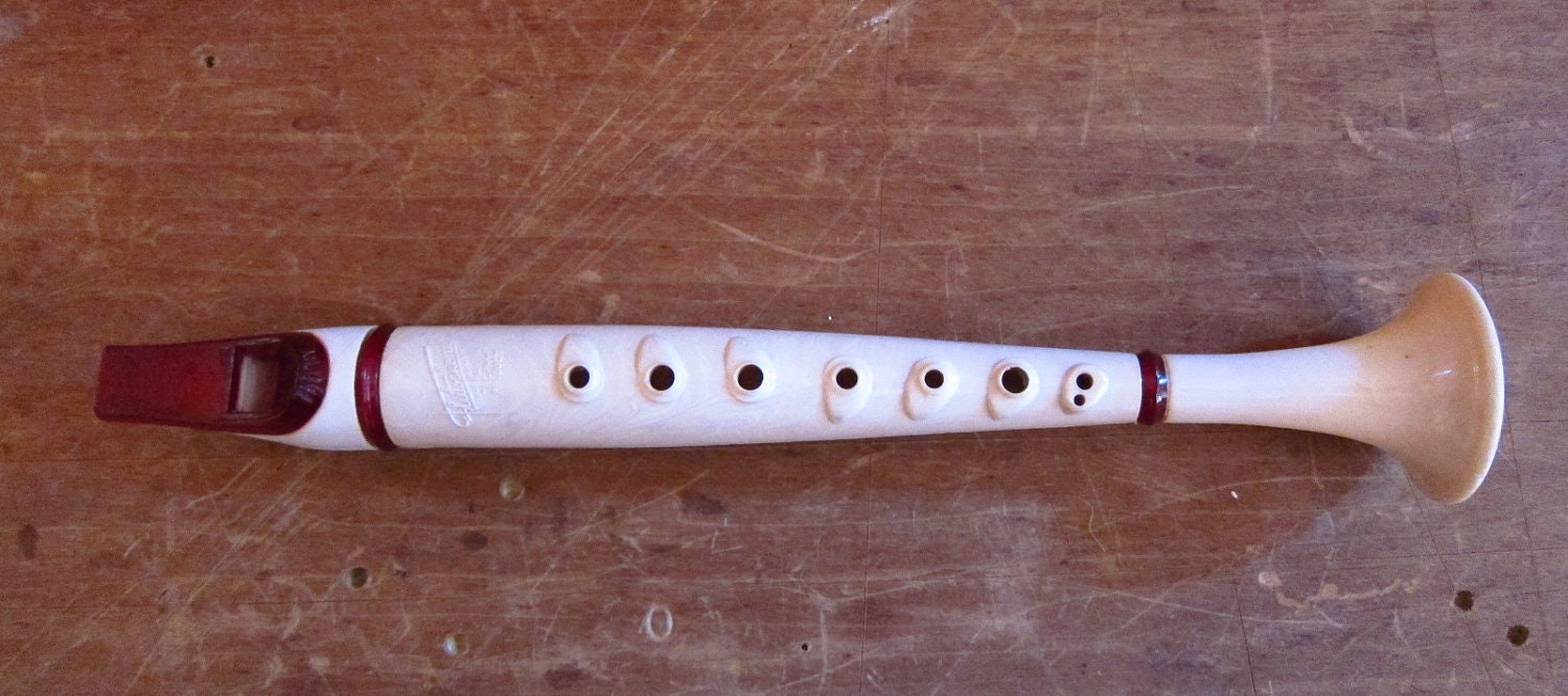 Flutophone Plastic Flute Musical Instrument