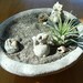 Lucky Cat Maneki Neko Sculptures in Zen Garden Air Plant Terrarium