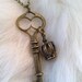 FREE Shipping Charming Skeleton Key and Crown Charm Necklace