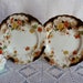 Victorian Decorative Plates