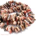 Red Abalone Shell Beads, Brown/Pink, High Quality, Discs/Chips, Irregular, 8-12mm, Large, Gemstone Beads, Full Strand, 16" - ID 1074