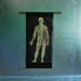 Vintage Anatomical Chart, Human Anatomy, Vintage Science
