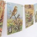 Birds Bunting upcycled from vintage Ladybird Book, A Third Ladybird Book of British Birds