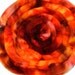 Falkland Wool Top for spinning and felting