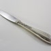 Oneida Heiress Sterling Silver and Stainless Flatware Dinner Knife 5 Pieces 9 1/8 inch No Monogram Heiress Pattern