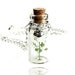 Make a Wish Nature Glass Bottle Vial Pendant Necklace (Get 10% OFF with COUPON CODE for Special Sale)