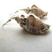 Sea Shell Seashell Earrings Conch Shell Ocean Beach Sea BellinaCreations Bellina Creation