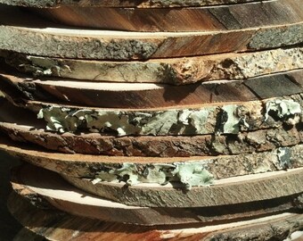 DIY SMALL Wood Slices || Branch Art Projects || Placecards || 25 Natural Wood Tree Tokens || Woodland Themed Party Favors || 4" or Less
