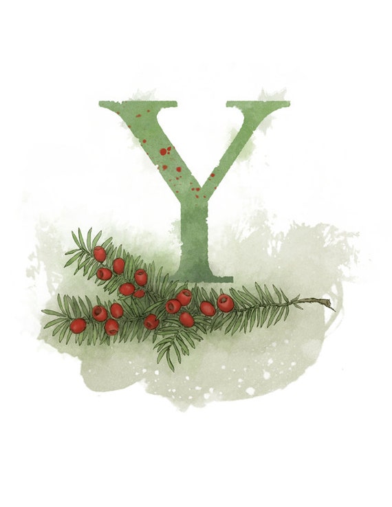 Letter Y, Yew, Nature Alphabet Initial Nursery 8.5 x 11
