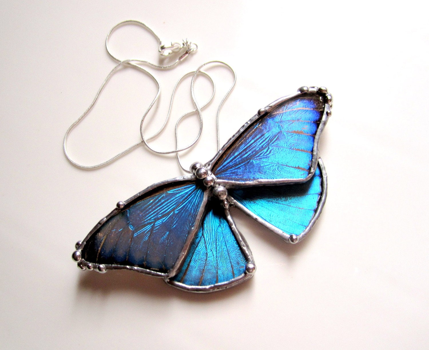 Real Blue Morpho Butterfly Necklace