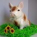 Vintage Piggy Bank Baby Shower Collectible 1985