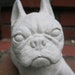 cement boston terrier statue