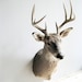 Vintage Mounted Deer Head