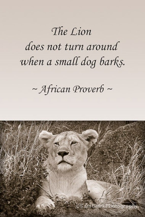 Items similar to PHOTOS WITH WORDS , Wildlife Photography 